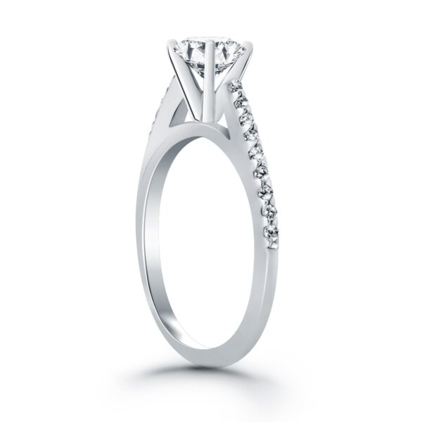 14k White Gold Micro Prong Diamond Cathedral Engagement Ring - Image 3