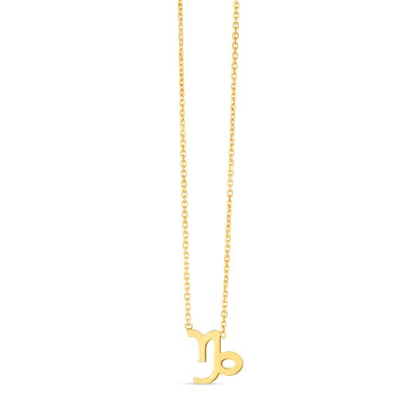 14K Yellow Gold Capricorn Necklace