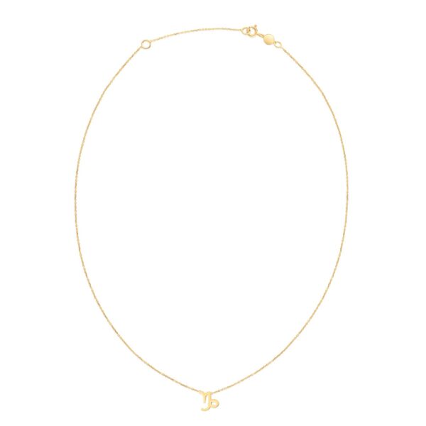 14K Yellow Gold Capricorn Necklace - Image 2