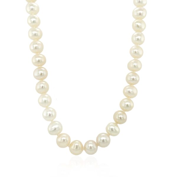 14k Yellow Gold Necklace with White Freshwater Cultured Pearls (6.0mm to 6.5mm) - Image 2